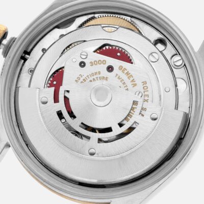 Rolex Oyster Perpetual 14203 Steel & Yellow Gold Slate Dial